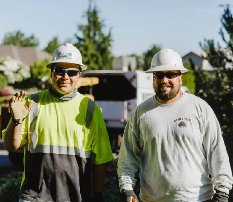 5-reasons-to-hire-an-expert-tree-removal-specialist-1024×682 5-reasons-to-hire-an-expert-tree-removal-specialist-1024x682